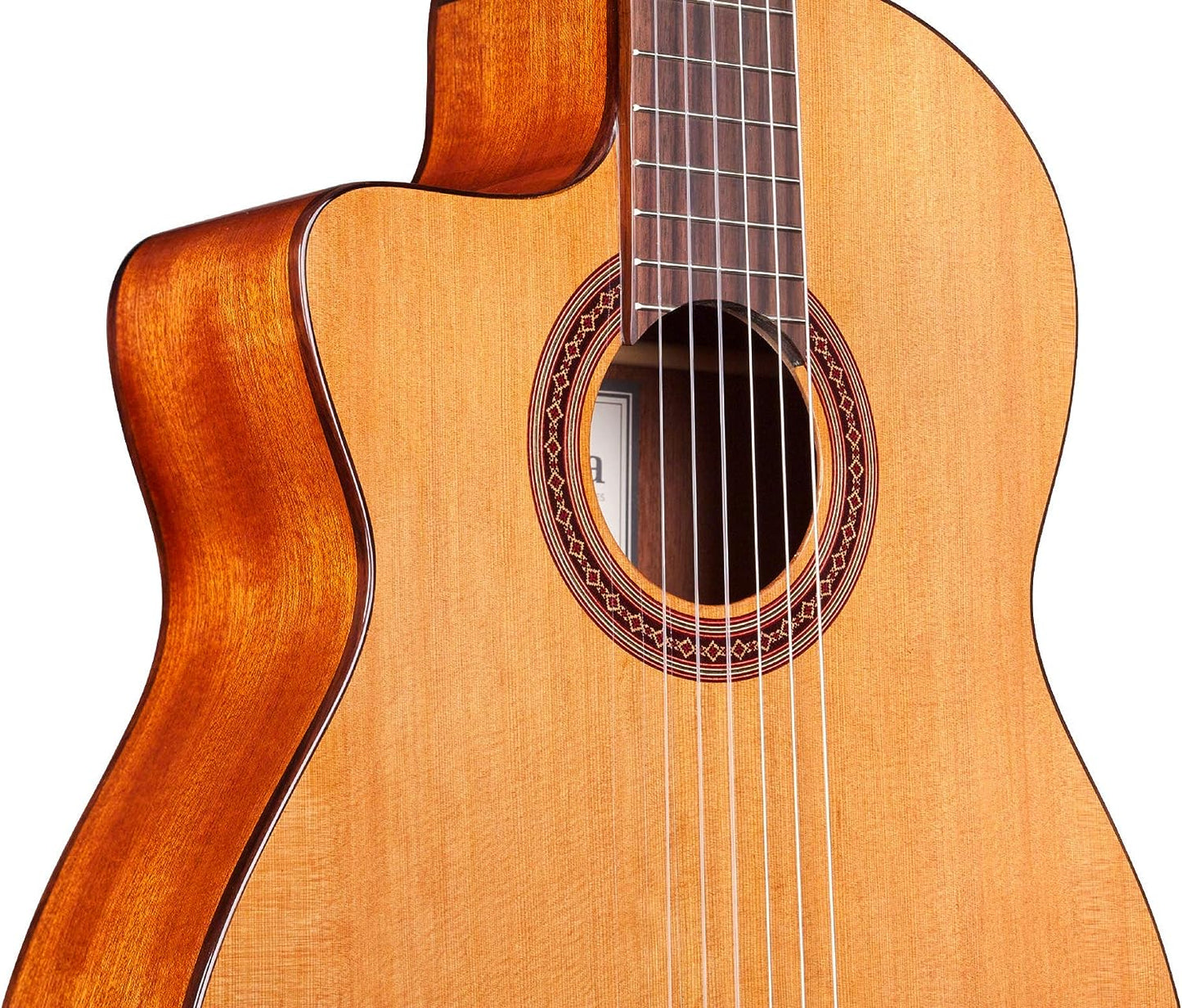 Cordoba C5-CE CD Lefty Cutaway Acoustic-Electric Nylon String Guitar (Iberia Series)