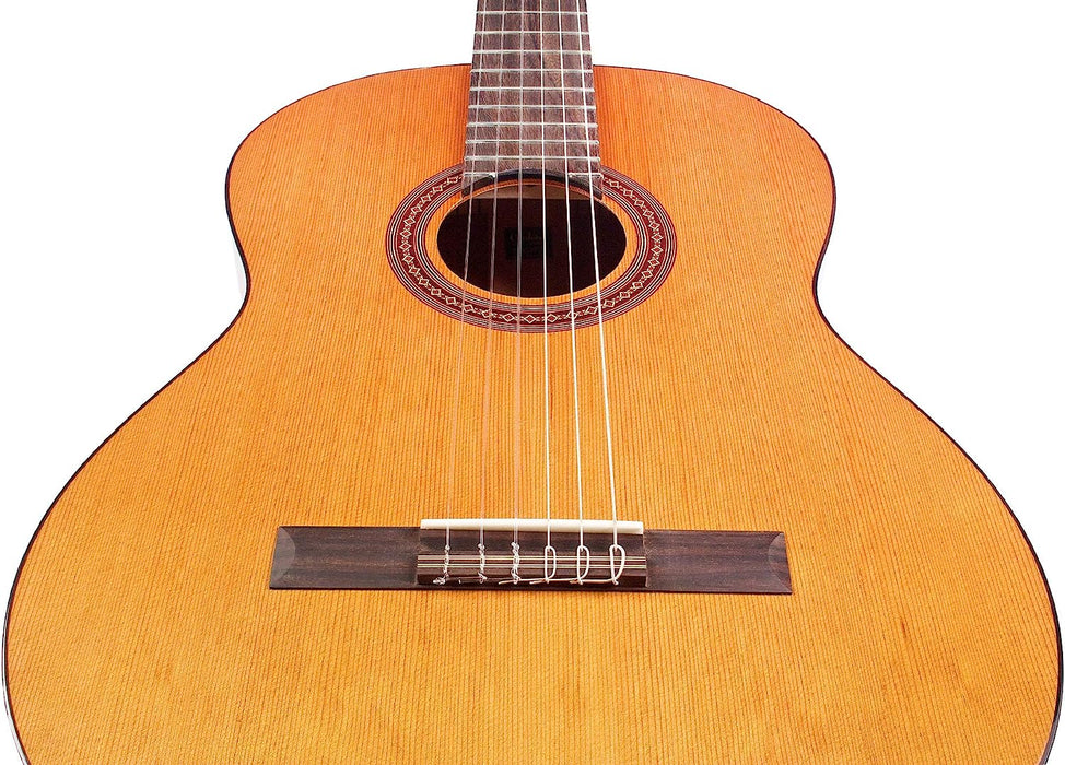 Cordoba C5 Lefty Iberia Series Acoustic Nylon-String Guitar Rosewood  (Iberia Series)