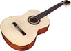 Cordoba C5 SP Classical Acoustic Nylon String Guitar (Iberia Series)