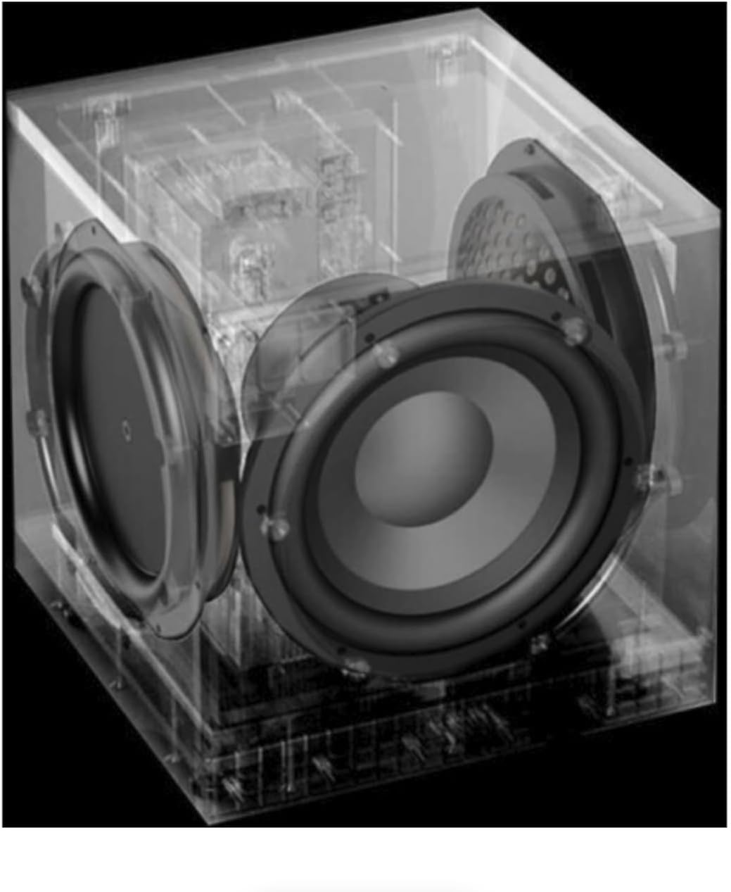 Definitive Technology Descend DN12 12" Powered Subwoofer (Midnight Black)