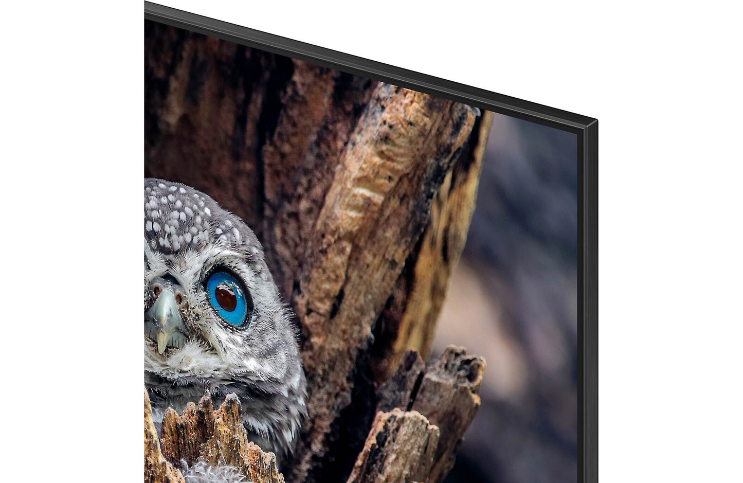 Samsung QN65Q80D 65" 4K Smart QLED UHD TV with HDR