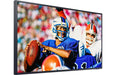 Samsung QN75LST9T "The Terrace" 75" Full-Sun Outdoor 4K UHD Smart QLED TV with HDR