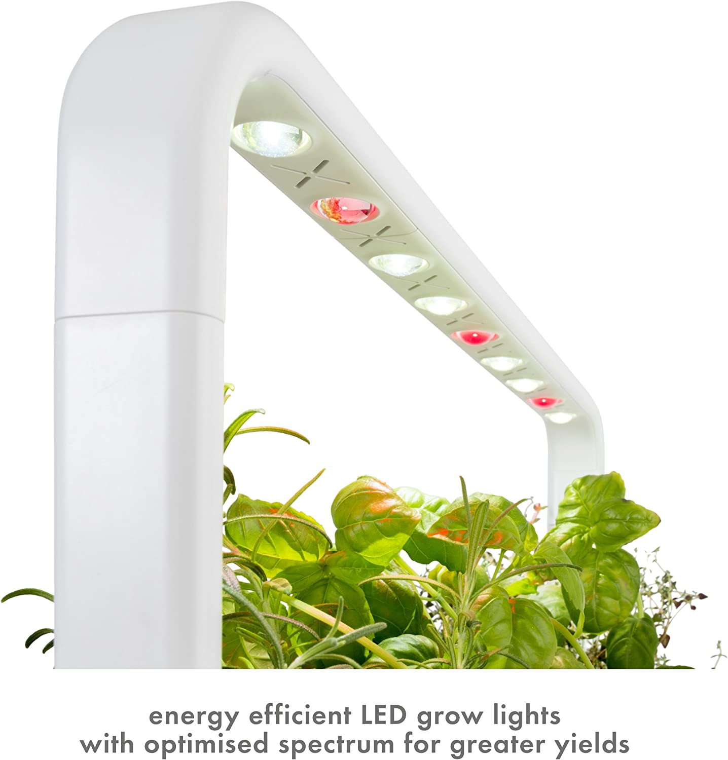 Click & Grow Indoor Herb Garden Kit with Grow Light/Vegetable & Herb Garden Starter Kit with 9 Plant pods